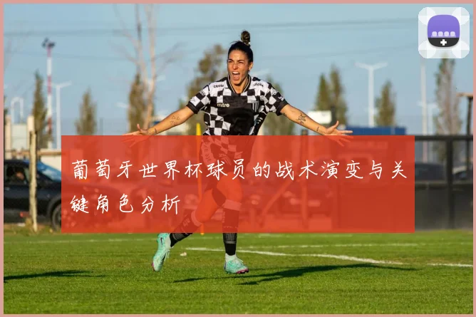 葡萄牙世界杯球员的战术演变与关键角色分析