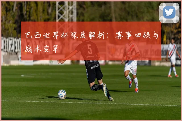巴西世界杯深度解析：赛事回顾与战术变革