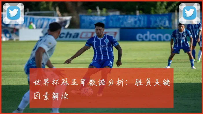 世界杯冠亚军数据分析：胜负关键因素解读