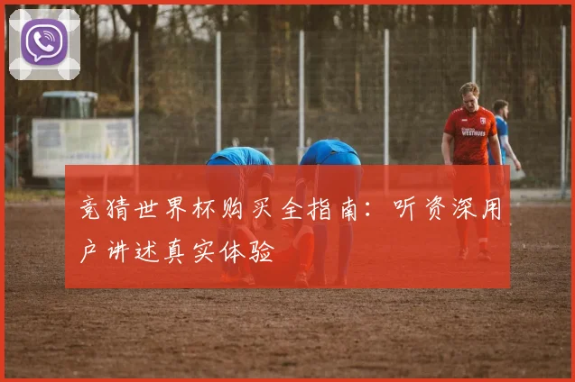 竞猜世界杯购买全指南：听资深用户讲述真实体验