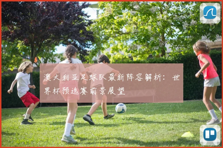 澳大利亚足球队最新阵容解析:世界杯预选赛前景展望