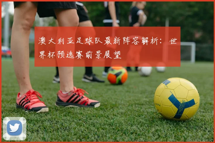 澳大利亚足球队最新阵容解析:世界杯预选赛前景展望