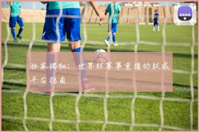 独家揭秘：世界杯赛事重播的权威平台指南