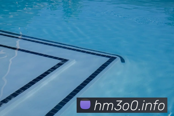 九游网页版本官网平台生态图