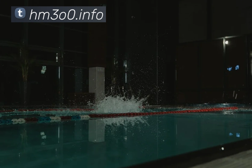 九游网页版本官网APP 封面图